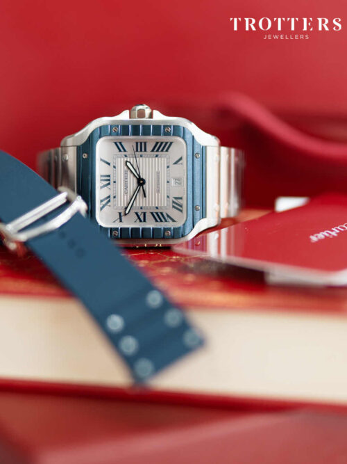 CARTIER Santos 2022