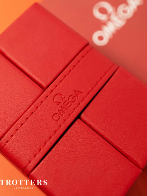 OMEGA SEAMASTER PLANET OCEAN