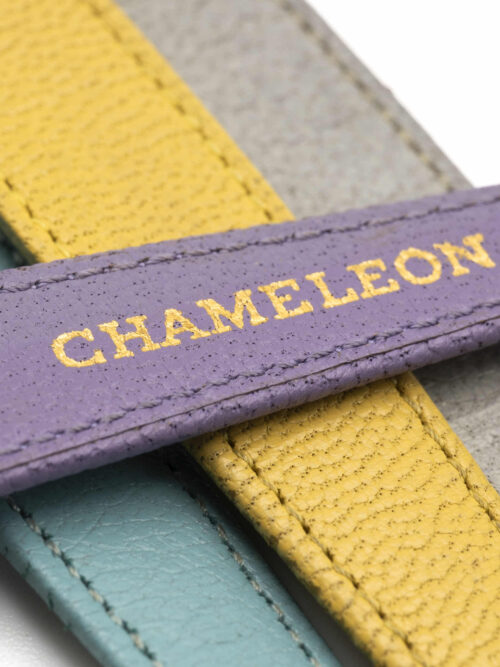 ROLEX Chameleon 1964