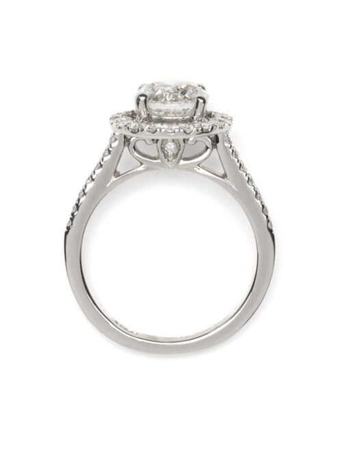 Trotters Platinum Single Stone Lab Grown Diamond Ring Brilliant Round With A Diamond Halo And Shoulders
