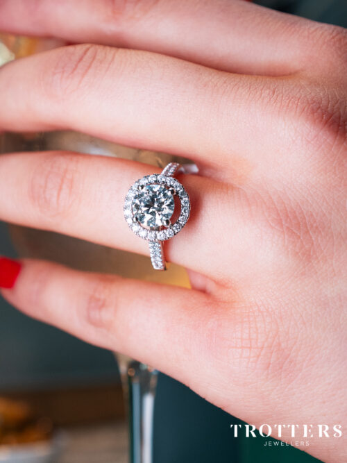 Trotters Platinum Single Stone Lab Grown Diamond Ring Brilliant Round With A Diamond Halo And Shoulders
