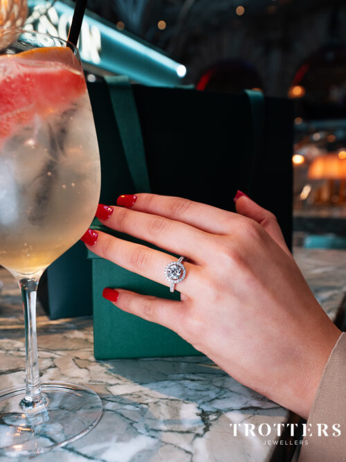 Trotters Platinum Single Stone Lab Grown Diamond Ring Brilliant Round With A Diamond Halo And Shoulders