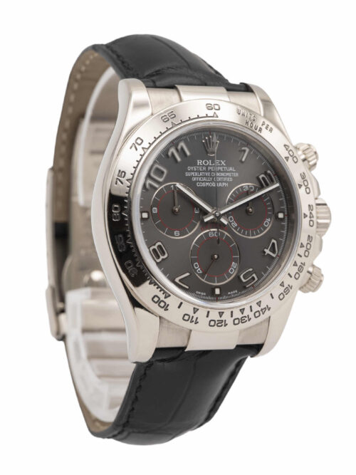 ROLEX Daytona 2005